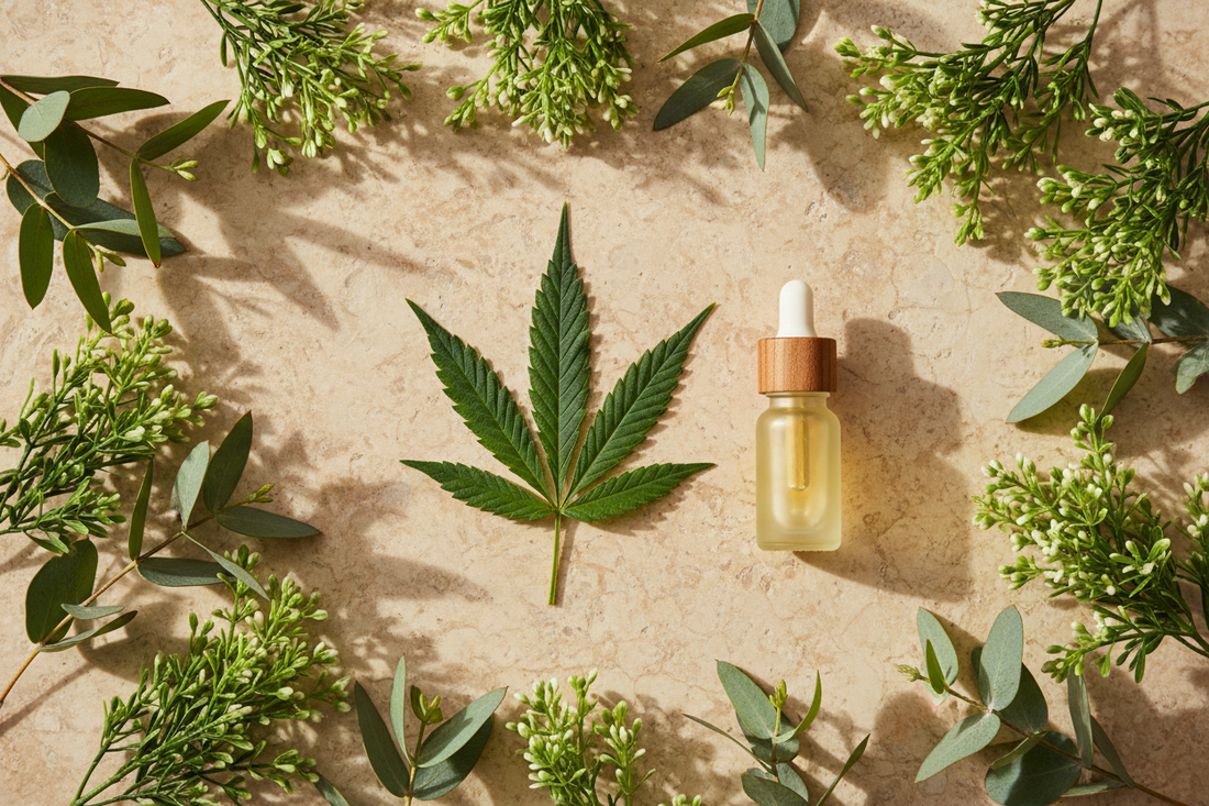 Broad-Spectrum CBD vs. Isolate vs. Full-Spectrum: What's the Difference?