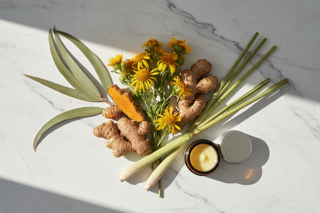 The Botanicals Behind Effective CBD Topicals: Key Ingredients Explained